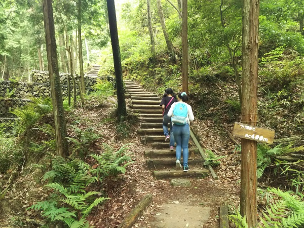 星のブランコ 府民の森 ほしだ園地 関西を中心に子供とおでかけした遊び場やスポット